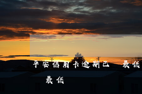 平安信用卡逾期已還最低(平安信用卡逾期已還最低)
