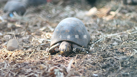 平安信用卡逾期幾個月后上門-平安信用卡逾期幾個月后上門了
