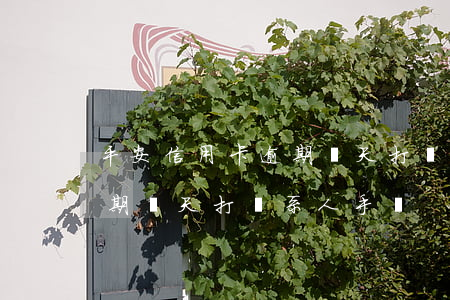平安信用卡逾期幾天打聯系人(平安信用卡逾期幾天打聯系人手機)