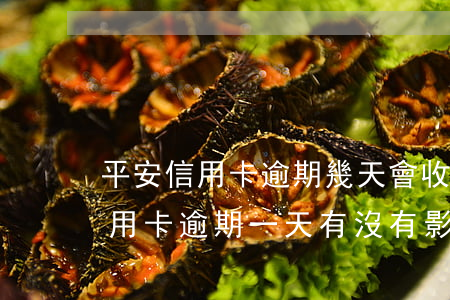 平安信用卡逾期幾天會收違約金(平安銀行信用卡逾期一天有沒有影響?)