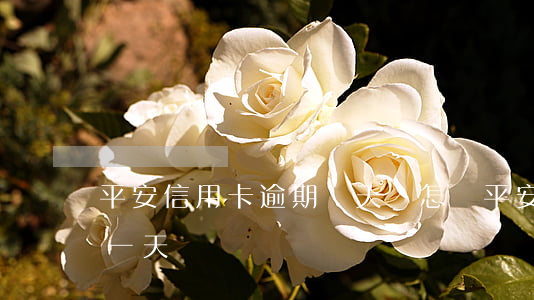 平安信用卡逾期幾天還怎樣(平安信用卡 逾期一天)