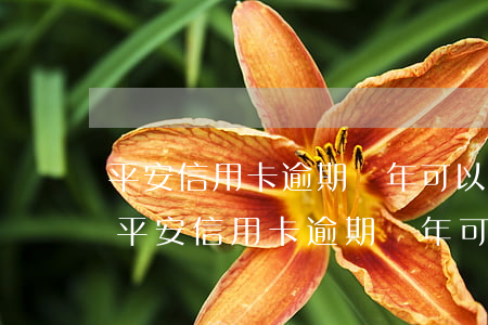 平安信用卡逾期幾年可以恢復(fù)誠信(平安信用卡逾期幾年可以恢復(fù)誠信貸款)