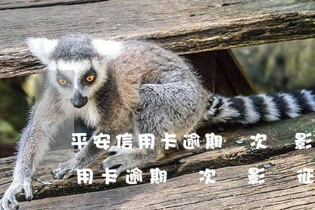 平安信用卡逾期幾次會影響征信嗎-平安信用卡逾期幾次會影響征信嗎知乎