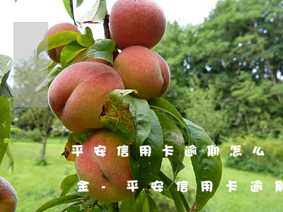 平安信用卡逾期怎么協(xié)商減少本金-平安信用卡逾期怎么協(xié)商減少本金還款