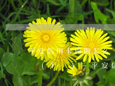 平安信用卡逾期怎么協(xié)商還款浦發(fā)-平安信用卡逾期怎么協(xié)商還款浦發(fā)銀行