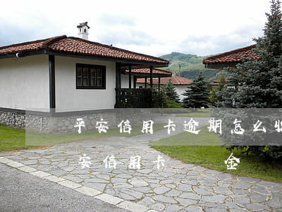 平安信用卡逾期怎么收取費(fèi)用(平安信用卡 違約金)