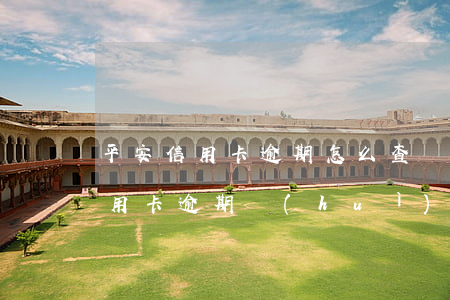 平安信用卡逾期怎么查詢(xún)(平安信用卡逾期會(huì)怎樣處理)