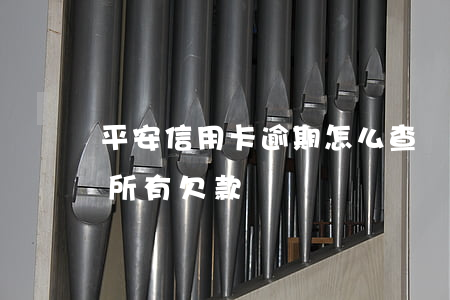 平安信用卡逾期怎么查詢欠款(怎樣查信用卡所有欠款)
