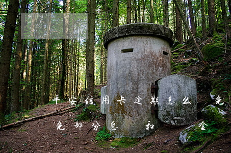 平安信用卡逾期怎么減免(平安信用卡逾期減免部分息費和滯納金)
