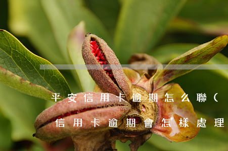 平安信用卡逾期怎么聯(lián)系(平安信用卡逾期會怎樣處理)