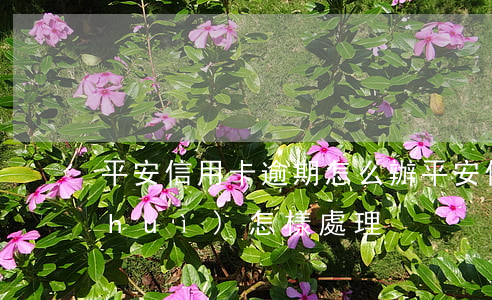 平安信用卡逾期怎么辦(平安信用卡逾期會(huì)怎樣處理)