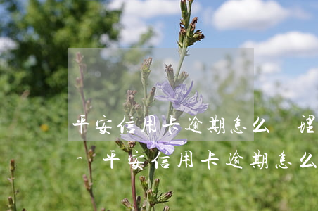 平安信用卡逾期怎么辦理儲(chǔ)蓄卡-平安信用卡逾期怎么辦理儲(chǔ)蓄卡還款