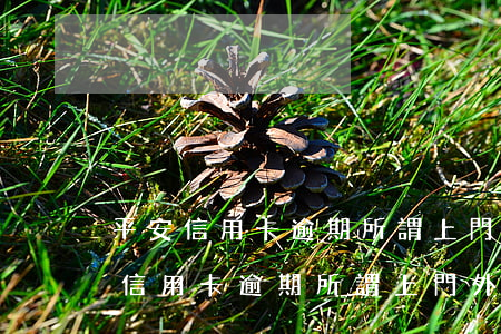 平安信用卡逾期所謂上門外訪是真是假（平安信用卡逾期所謂上門外訪）