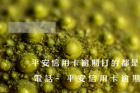 平安信用卡逾期打的都是網(wǎng)絡電話-平安信用卡逾期打的都是網(wǎng)絡電話嗎