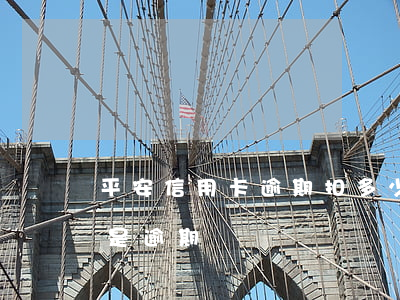 平安信用卡逾期扣多少錢(平安信用卡多久算是逾期)
