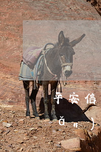 平安信用卡逾期找網(wǎng)點(diǎn)
