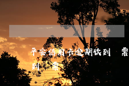 平安信用卡逾期收到傳票(平安信用卡逾期收到傳票)