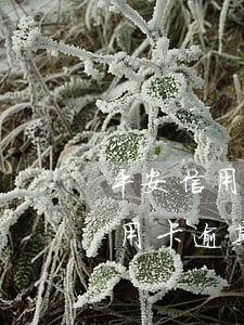 平安信用卡逾期收到律师函会怎样-平安信用卡逾期收到律师函会怎样处理