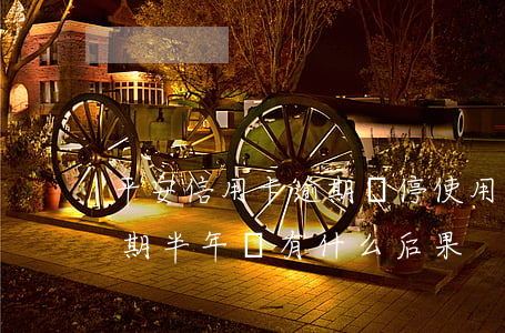 平安信用卡逾期暫停使用(平安銀行信用卡逾期半年會有什么后果)