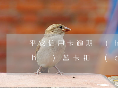 平安信用卡逾期會(huì)從平安儲(chǔ)蓄卡扣錢(qián)嗎-平安信用卡逾期會(huì)從平安儲(chǔ)蓄卡扣錢(qián)嗎