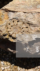 平安信用卡逾期會(huì)扣儲(chǔ)蓄卡(平安銀行信用卡 超限)
