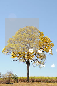 平安信用卡逾期會(huì)扣利息嗎(平安銀行逾期一天,最后還款會(huì)不會(huì)影響信用)