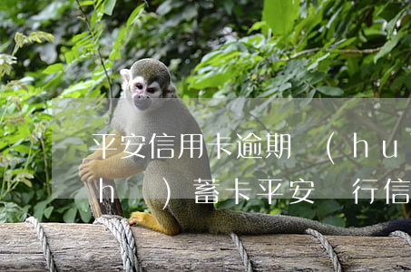 平安信用卡逾期會(huì)被秒扣儲(chǔ)蓄卡(平安銀行信用逾期了凍結(jié)我的卡怎么去用)
