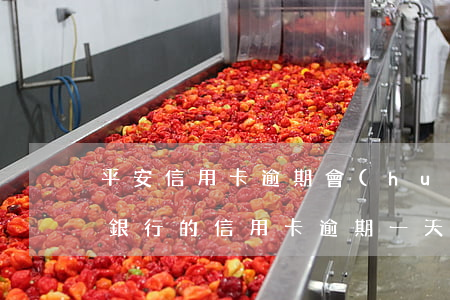 平安信用卡逾期會(huì)被立案嗎(平安銀行的信用卡逾期一天會(huì)有不良記錄嗎)