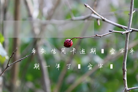 平安信用卡逾期會坐牢(平安信用卡欠一萬逾期一年了會坐牢嗎)