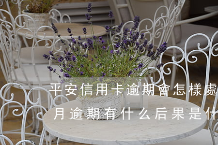 平安信用卡逾期會怎樣處理(平安信用卡3個月逾期有什么后果是什么)