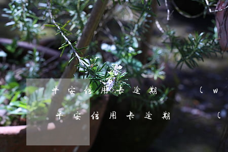 平安信用卡逾期會網(wǎng)上通緝嗎(平安信用卡逾期會網(wǎng)上通緝嗎)