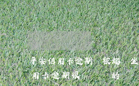 平安信用卡逾期會被起訴坐牢嗎?-有平安信用卡逾期很長時間的嗎