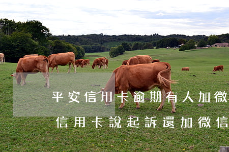 平安信用卡逾期有人加微信通知(欠平安銀行信用卡說起訴還加微信)