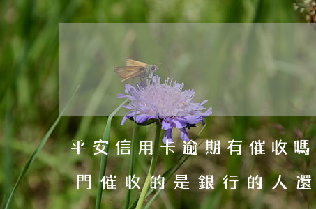 平安信用卡逾期有催收嗎(平安信用卡逾期上門催收的是銀行的人還是三方公司)