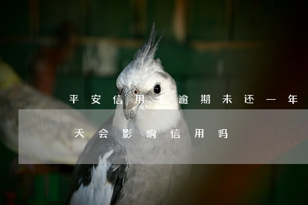 平安信用卡逾期未还一年多会去(平安逾期1天会影响信用吗)