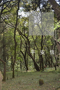 平安信用卡逾期查房(平安銀行查房貸)