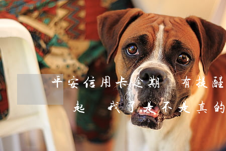 平安信用卡逾期沒有提醒(平安信用卡逾期了說起訴我了是不是真的)