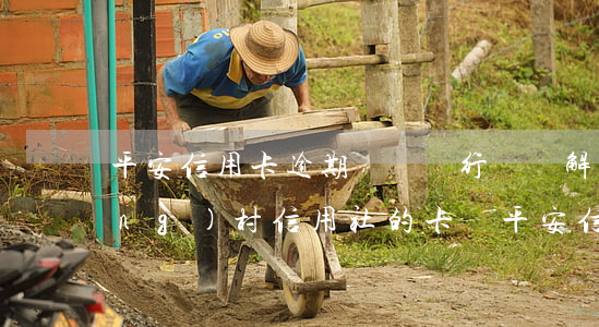 平安信用卡逾期沒還,銀行會凍解我農(nóng)村信用社的卡嗎（平安信用卡逾期沒還）