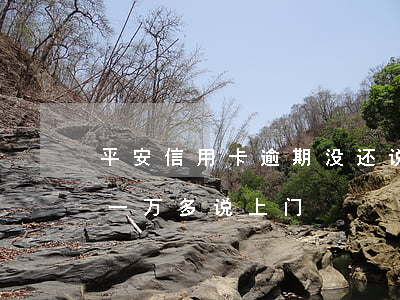平安信用卡逾期没还说上门-欠平安信用卡一万多说上门