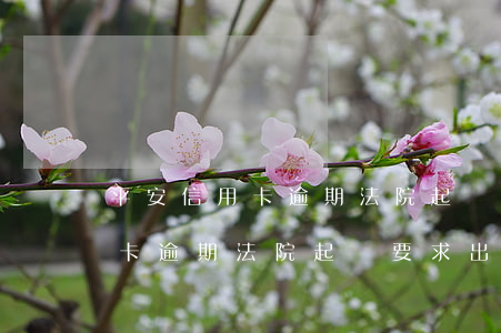 平安信用卡逾期法院起訴要求出庭(平安信用卡逾期法院起訴要求出庭)