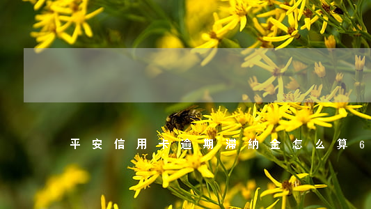 平安信用卡逾期滯納金怎么算6