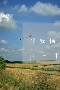 平安信用卡逾期為什么要去村委會(huì)-平安信用卡逾期為什么要去村委會(huì)報(bào)備