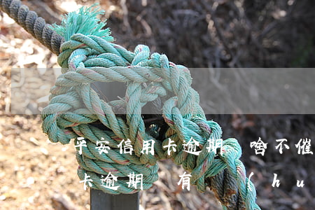 平安信用卡逾期為啥不催了(平安銀行的信用卡逾期沒有還會(huì)怎么樣)