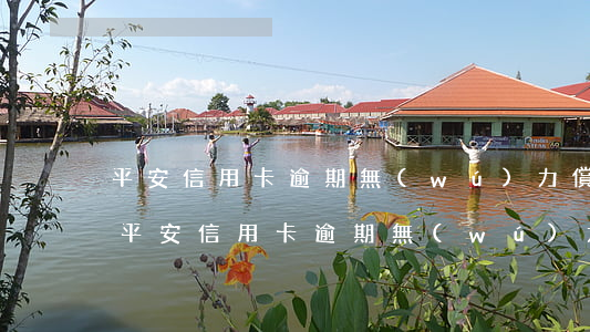 平安信用卡逾期無(wú)力償還解決方法(平安信用卡逾期無(wú)力償還解決方法是什么)