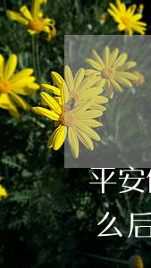 平安信用卡逾期無力償還會(huì)有什么后果-平安信用卡逾期無力償還會(huì)有什么后果嗎