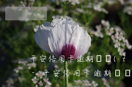平安信用卡逾期狀態(tài)異常能解嗎-平安信用卡逾期狀態(tài)異常能解嗎安全嗎