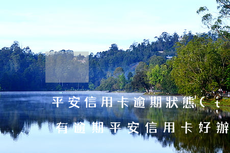 平安信用卡逾期狀態(tài)異常能解嗎(有逾期平安信用卡好辦嗎)