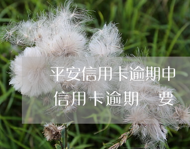 平安信用卡逾期申請(qǐng)立案(平安信用卡逾期說要報(bào)案是真的嗎?)