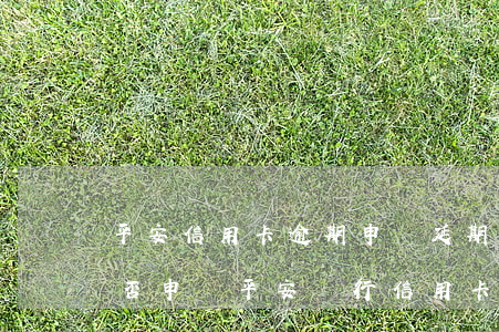 平安信用卡逾期申請延期(平安普惠有逾期能否申請平安銀行信用卡)