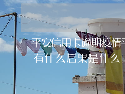 平安信用卡逾期疫情(平安信用卡3个月逾期有什么后果是什么)
